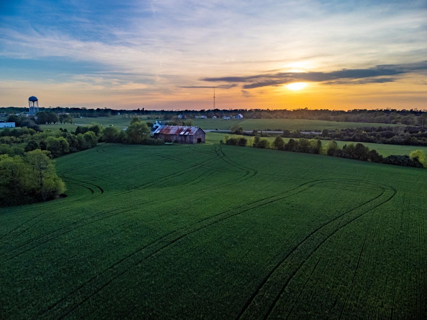 Field at sunrise in front of a beautiful home in Nicholasville, Kentucky